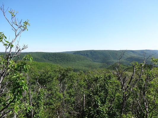 Blick auf die grüne Pracht des Cape Breton Highlands National Park.