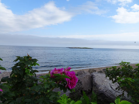 Urlaub in Quebec: Uferblick an der Anse aux Ilots.