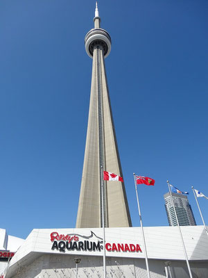 Zwei Attraktionen in einem Bild: Ripley's Aquarium of Canada steht direkt neben Torontos CN Tower.