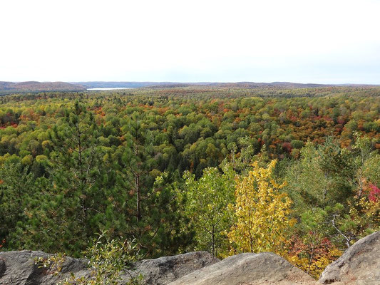 Endlose Wälder in Ontarios Algonquin Provincial Park, hier während der Fall Colors 2015. 