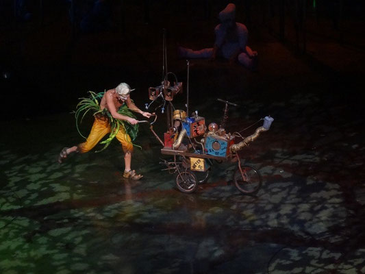 Varekai in Toronto: Ein Clown des Cirque du Soleil in Aktion.