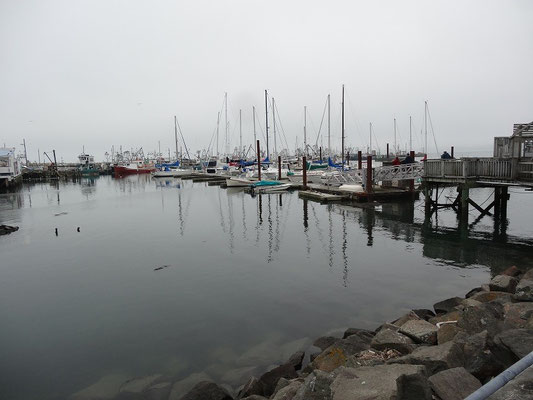 Urlaub in Nova Scotia: Boote bei Flut im Hafen von Digby.