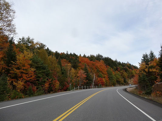 Und noch ein Bild von bunten Bäumen im Algonquin Provincial Park: Der Highway 60 in Fall Colors.