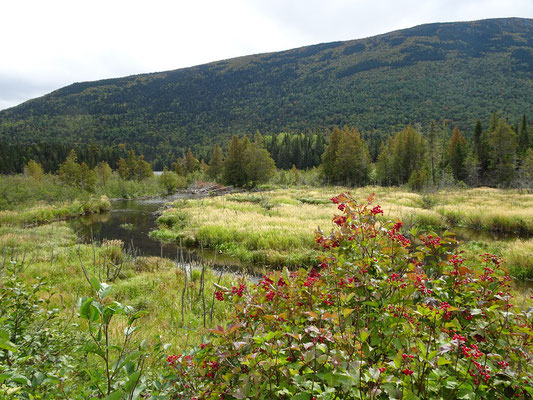 Urlaub in New Brunswick: Eindrücke aus dem Mount Carleton Provincial Park.