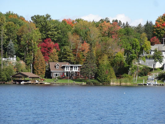 Herbstlicher Uferblick in Muskoka.