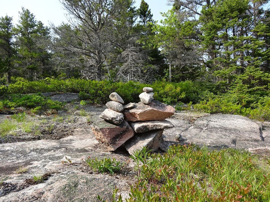 Beobachtung beim Hiking im Cape Breton Highlands National Park.