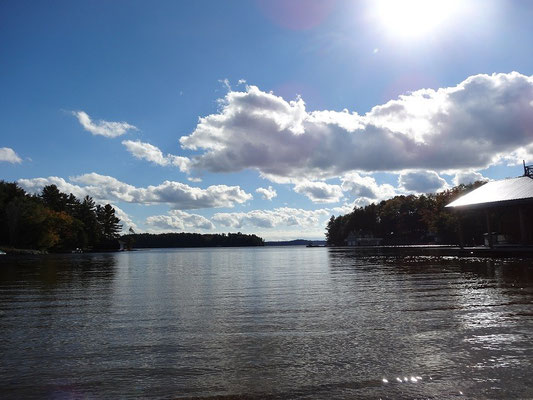 Wasser und Bäume: Noch ein Bild aus Muskoka.