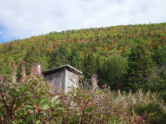 Urlaub in Quebec: Herbstlicher Besuch im Forillon Nationalpark.