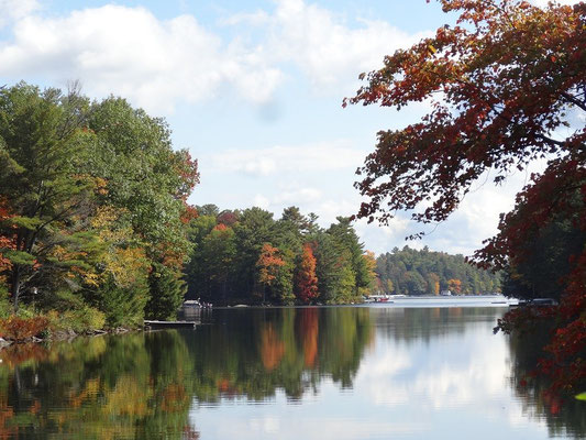 Herbstliche Idylle in Ontarios Muskoka-Region.