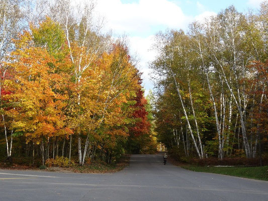 Mit dem Fahrrad durch den herbstlichen Arrowhead Provincial Park während der Fall Colors.