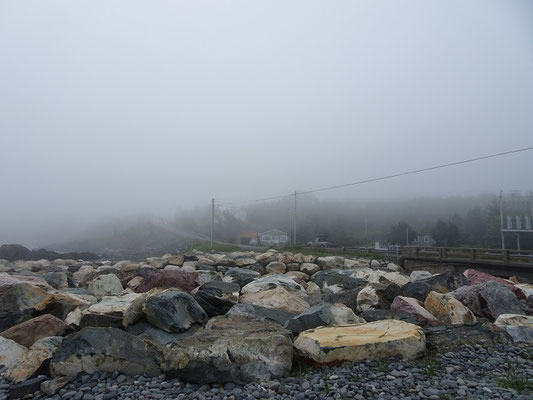 Urlaub in Neufundland: Blick landeinwärts in Witless Bay.