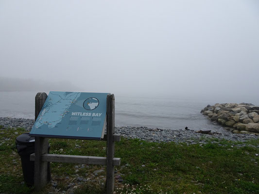 Urlaub in Neufundland: Nebel an der Witless Bay.