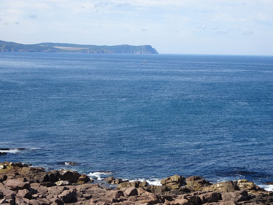 Urlaub in Neufundland: Blick von Cape Spear Richtung Signal Hill und St. John's.