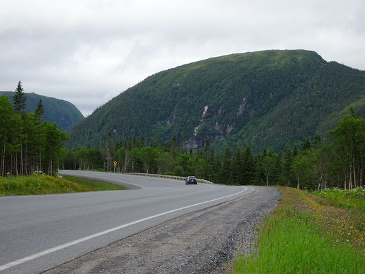 Fahrt von Deer Lake in den Gros Morne Nationalpark: Bäume und Berge überall.