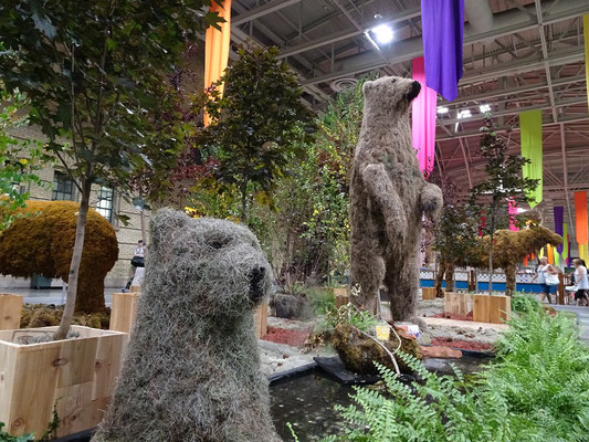 Filzige Bärenskulpturen auf der Canadian National Exhibition in Toronto.