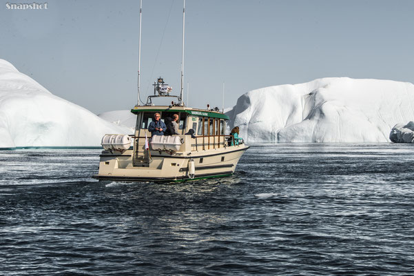 Walewatching, Diskobucht, Grönland