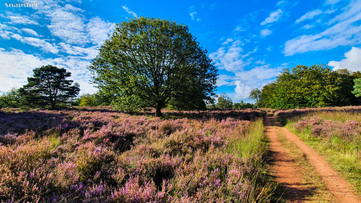 Mehlinger Heide