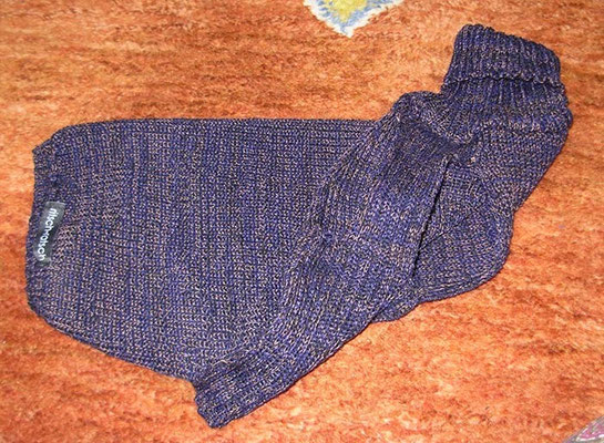 Pullover für Rüde Noah, Kragen ist sehr dehnbar ohne einzuengen