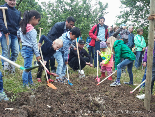 Die anwesenden Kinder und ihre Eltern helfen fleißig bei der Baumpflanzung mit.