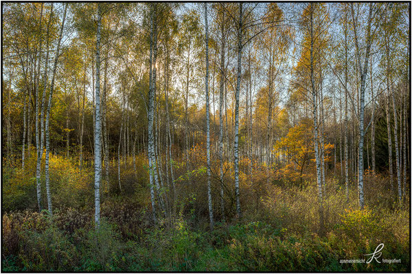 Gegenlichtaufnahme - HDR Belichtungsreihe