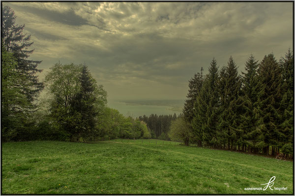 Blick auf den Bodensee - Pollenflug