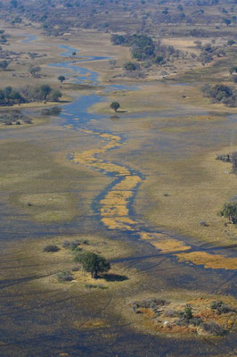 Scénic Fly, Delta Okavango