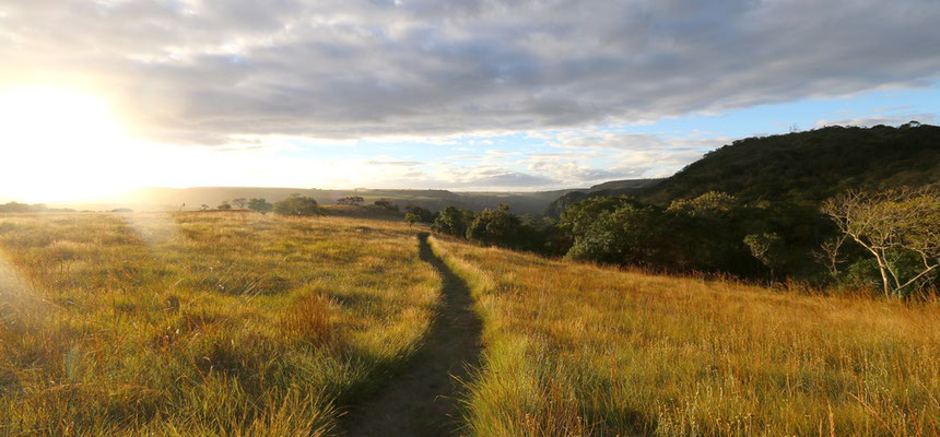 Les Gorges d' Oribi (Baboon View)