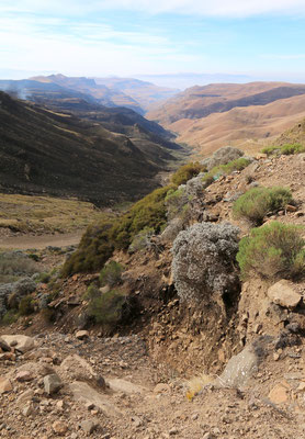 Sani Pass (Le Drakensberg)