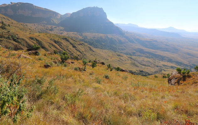 Mont-aux-Sources Valley ; Royal Natal NP 