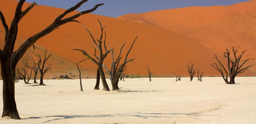 Deadvlei