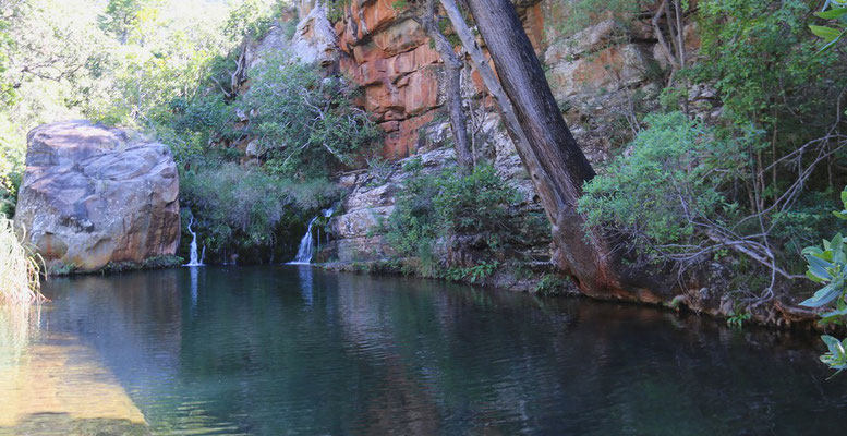 Blyde Canyon, le "Guinea fowl Trail"