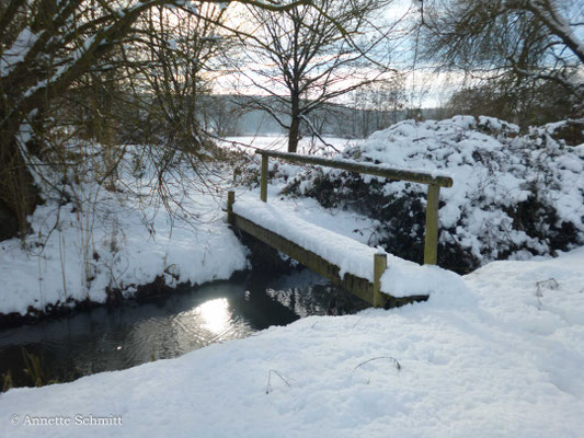 27.01.2026 Dem FÖJ Steg zur Rallenpfanne macht der Schnee nichts aus. 