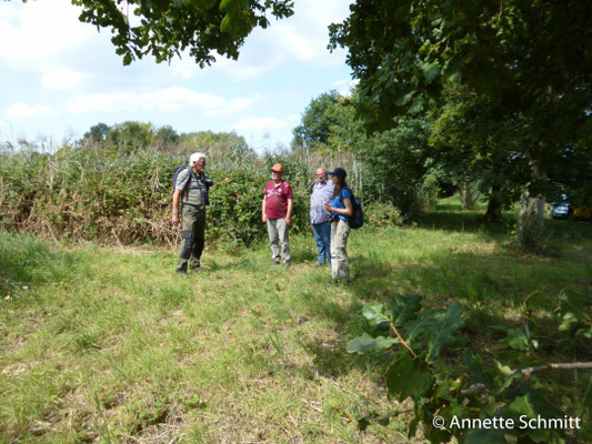 21.08.2025 Begehung rund um die Rallenpfanne mit NABU Gründau, NABU Kreisverband MK, NABU Stiftung Hessisches Naturerbe