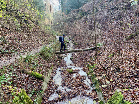 Fallätsche