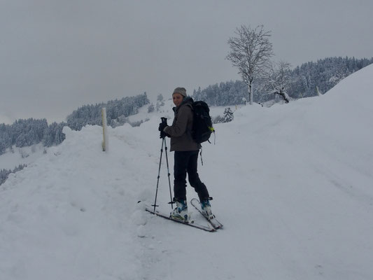 Denise Sigg Skitour auf den Bachtel 1115m