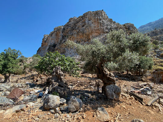 ARGINONTA VALLEY