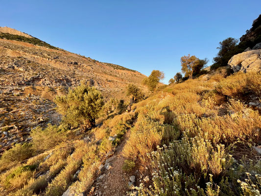 ARGINONTA VALLEY