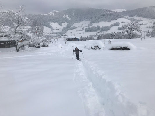 Denise Sigg Skitour auf den Bachtel 1115m