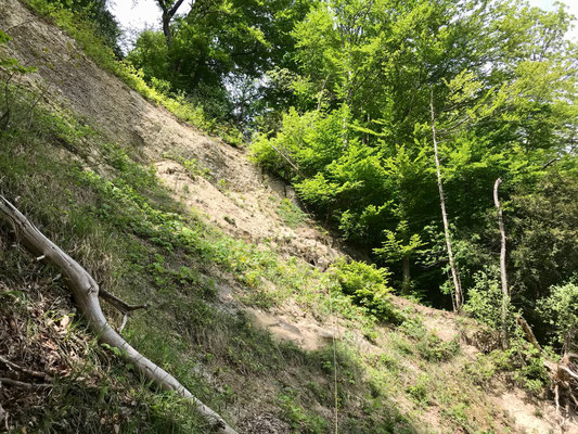Sicherungsseil in der Fallätsche