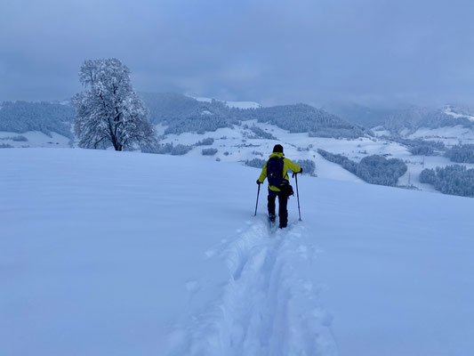 Daniel Fritschi Skitour auf den Bachtel 1115m