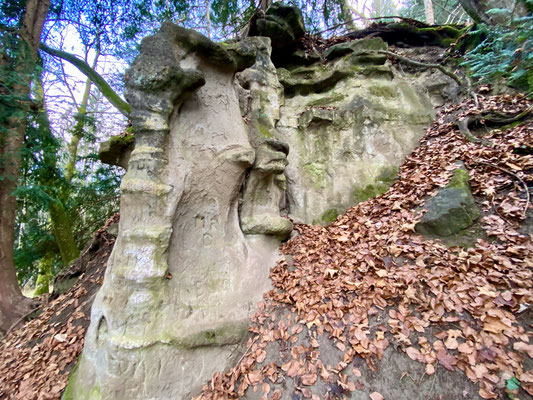 Trampelpfad Ost Uetliberg