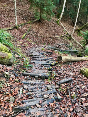 Trampelpfad Ost Uetliberg