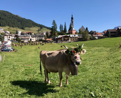 Alpabzug in Ftan