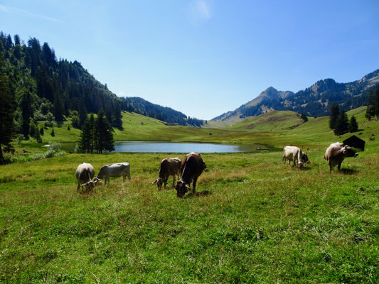 Gräppelensee