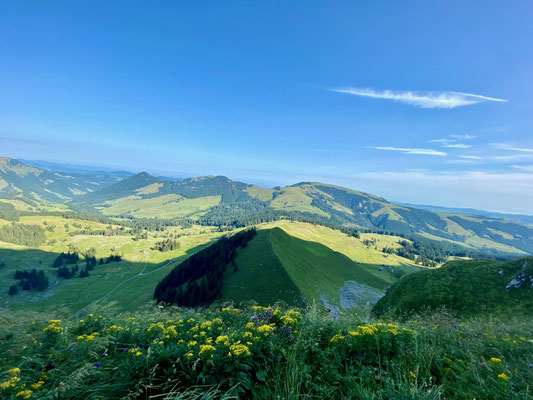 Chammhaldenroute