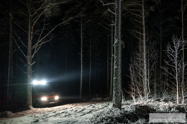 Schlafplatz im winterlichen Wald