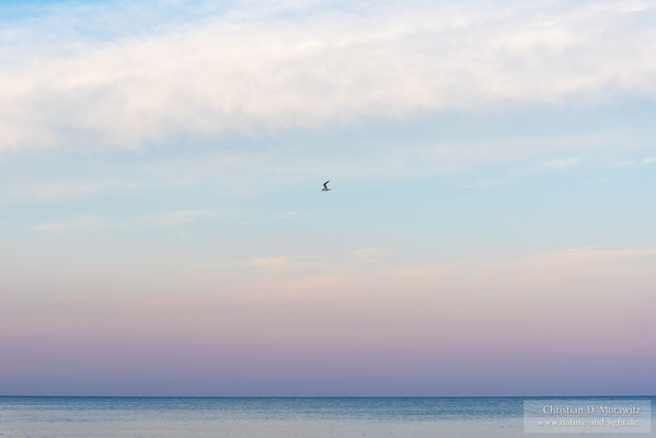 Die Ostsee bei Maglehem