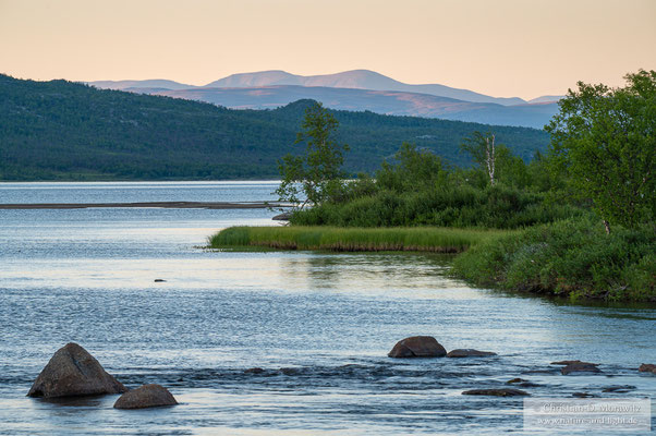 Blick auf den Abiskojaure im Abisko Nationalpark