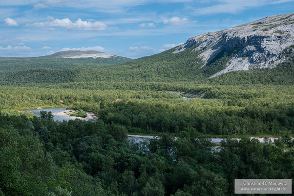Wald gibt es auf der Nordkinnhalbinsel nur in den Tallagen