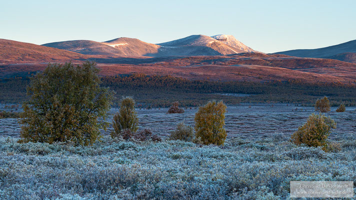 Die Landschaft ist mit Raureif überzogen bei knackigen -8 Grad